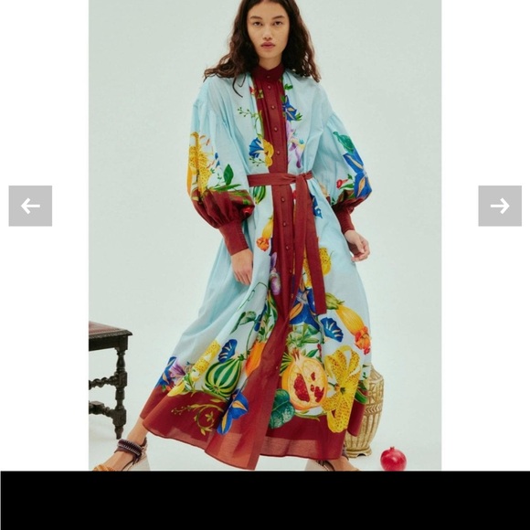 Alemais Multicolor Floral Long Sleeve Dasha Dress AUS 6 US2 - Picture 1 of 7